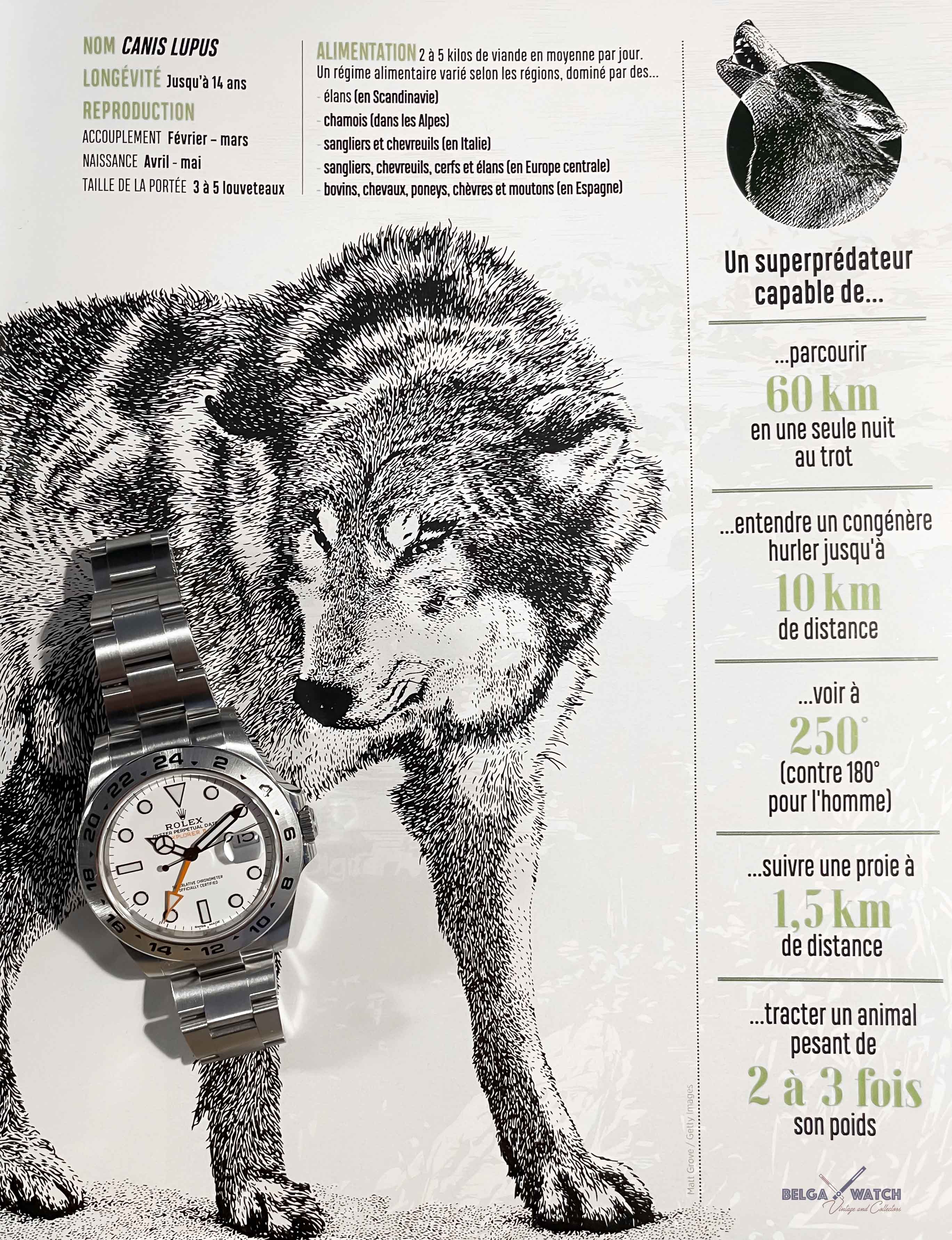 Rolex Eplorer II Polar ref 216570 ' White '